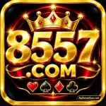 8557 game logo icon
