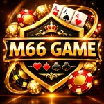 M66 Game A clean software dashboard interface highlighting key analytics, modular widgets, and real-time performance tracking metrics.